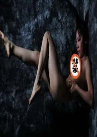 武林复仇记(简体)