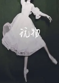 玩物 (1v1 H)