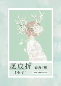 愿成折(电竞H)
