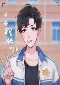 学长我错啦(H1V1吧?)