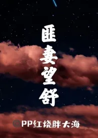 匪妻望舒(1v1 古言h)