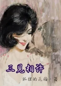 三见相许(高H)