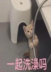 【修仙】今天还有人向合欢宗小师妹告白吗?(NPH)