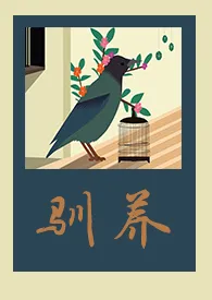 驯养(D/S主奴 1V1)