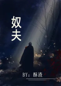 奴夫(民国 高H)