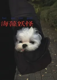 海藻妖怪(校园nph)