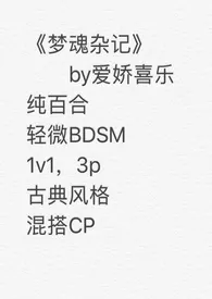 梦魂杂记(纯百合)