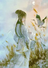 金缕衣(古风NPH)