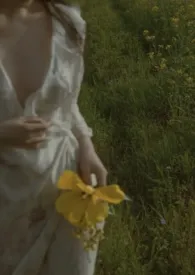 火玫瑰(骨科)