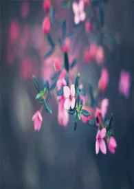 继母求死,总是被肏(NP\\高H)