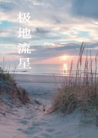 极地流星(1v1h)