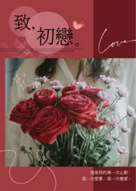 致,初恋。(R篇)