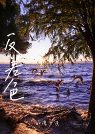 反差色（骨科）