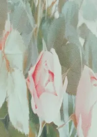 谁去拯救谁？【百合 np】